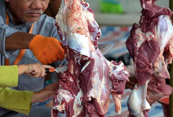 MyCARE sasar kutip RM2.5 juta, agih daging korban kepada 13 negara