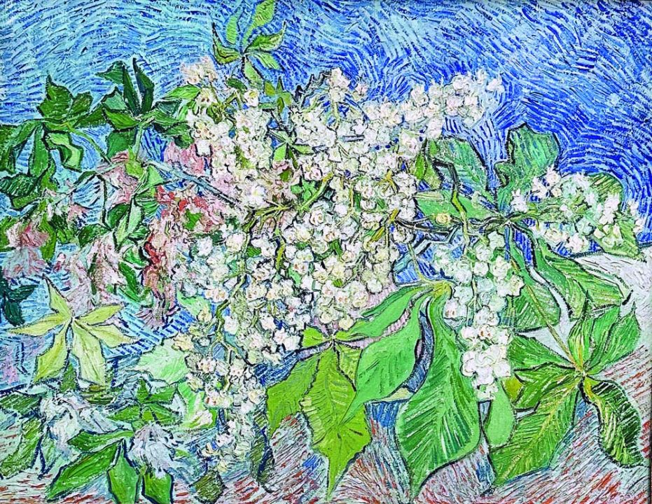  : Van Gogh in Kunsthaus Zurich 3